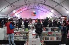 Pequeños Conciertos en Librerías.
