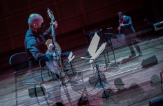 Acupuntura Musical Suba