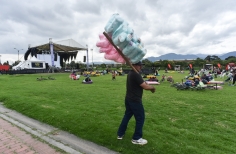 Cinemateca al Parque