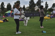 Cinemateca al Parque