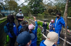 Así suena Sumapaz, creación de podcasts