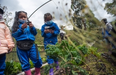 Así suena Sumapaz, creación de podcasts