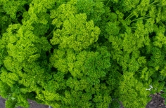 Así suena Sumapaz, creación de podcasts