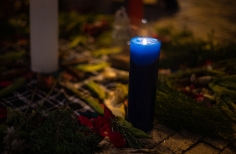 Festival de las Artes Valientes - Videocrática