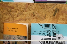 Pícnic Literario Día Internacional de la Mujer 2022