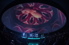 En la cápsula del espacio, un show de Queen