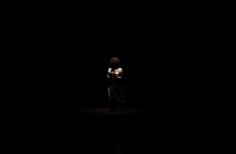 La mirada de la Avestruz