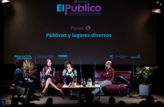  Seminario de Públicos de las Artes Escénicas