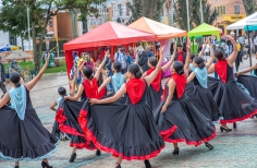 Bienal Internacional de Arte de Suba