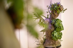 Lanzamiento Holistic Garden By Xikaria