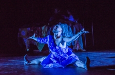 Performance Libelula Dorada
