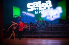 Lanzamiento Salsa al Parque