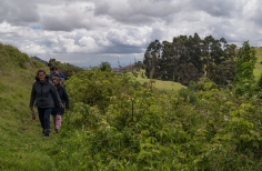 Recorrido parque arqueológico necrópolis indígena
