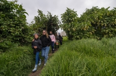 Recorrido parque arqueológico necrópolis indígena
