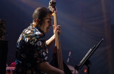 Festival salsa al parque