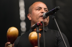Festival salsa al parque