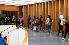 Pedagogías de Memoria y artes para la Paz