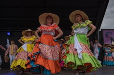 Festival Bogotá Ciudad de Folclor - Bosa