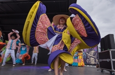 Festival Bogotá Ciudad de Folclor - Bosa