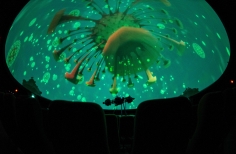 Planetario Nocturno