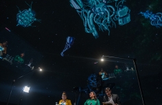 Encuentro NERD: Ecología, botánica y biodiversidad