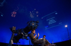 Huertas, redes y arquitecturas
