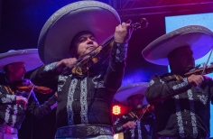 A grito herido- La Media Torta