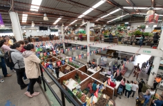 Teatro en Plazas de Mercado