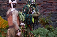 Teatro en Jardín Botánico