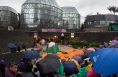 Teatro en Jardín Botánico
