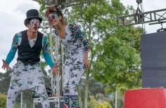 Bogotá disfrutó del Festival Es Cultura Local En el Centro Felicidad Fontanar del Río