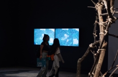Noche de museos 