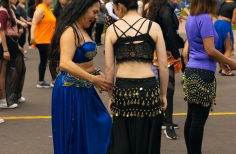 Taller danza orienta - Desert Flowers