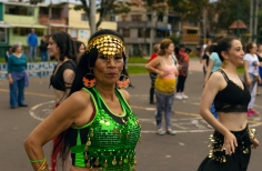 Taller danza orienta - Desert Flowers