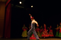 Feria de la danza - Antonio Nariño