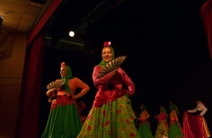 Feria de la danza - Antonio Nariño