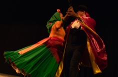 Feria de la danza - Antonio Nariño