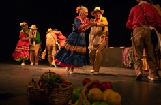 Feria de la danza - Antonio Nariño