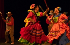 Feria de la danza - Antonio Nariño