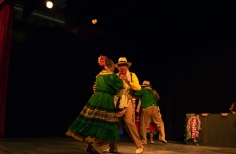 Feria de la danza - Antonio Nariño