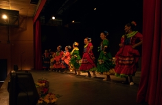 Feria de la danza - Antonio Nariño