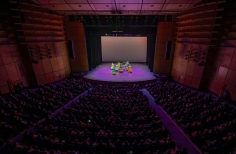 Festival Bogotá Ciudad Folclor