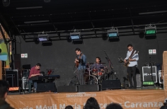 Sures Homenaje al Festival Mono Núñez en Bogotá