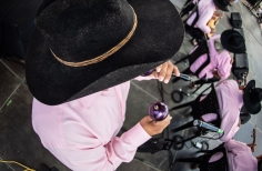 Joropo al Parque  - Sábado