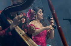 Joropo al Parque  - Sábado