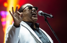 Festival Salsa al Parque 2023