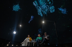 Encuentros NERD – Ecología, botánico y biodiversidad