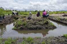 Beca de investigación en arte, tecnología y ancestralidad – Zanjas y camellones