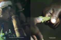 Curación como tecnología. Basado en entrevistas a sabedores de la Amazonía