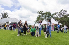 Actividades artística as y cinematográficas en Cinemateca al parque 2023
